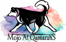 Mojo Al Qantarah's